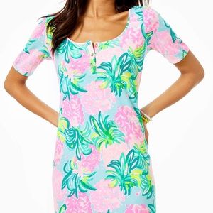 Lilly Pulitzer Gavyn Henley TShirt Dress